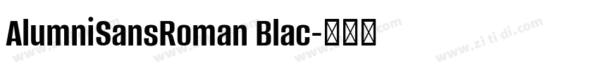 AlumniSansRoman Blac字体转换